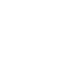 Logo T2A blanc